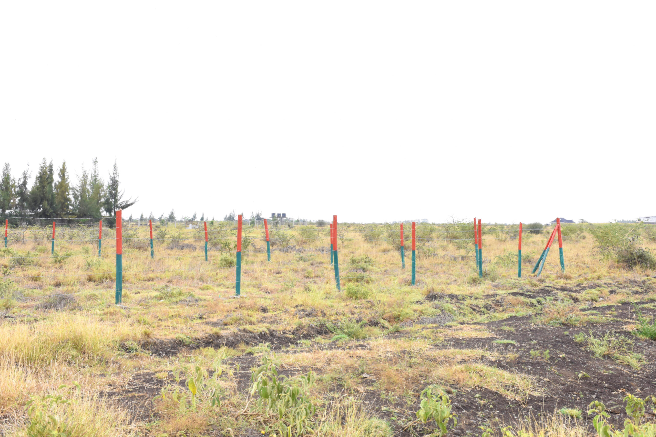 Sunrise-Garden-Ruiru-East-Mwalimu-farm