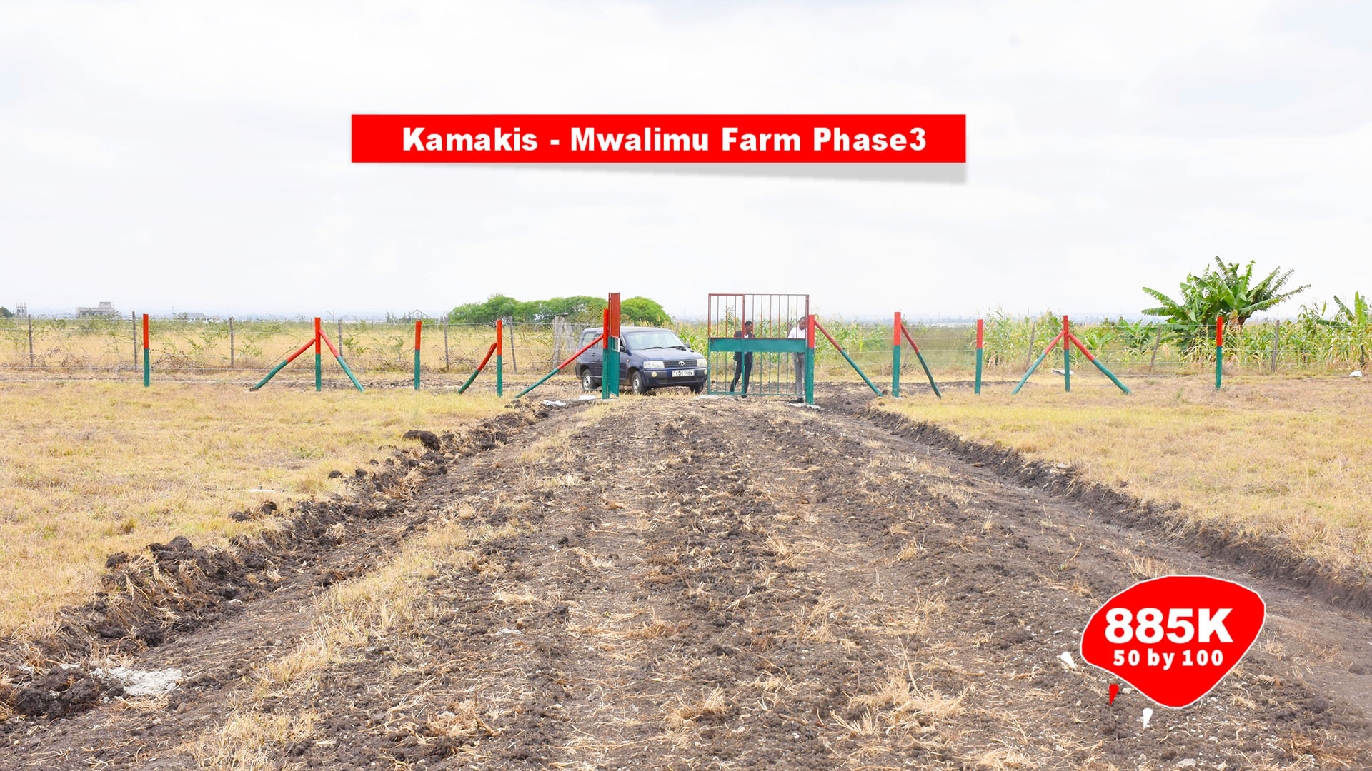 mwalimu phase